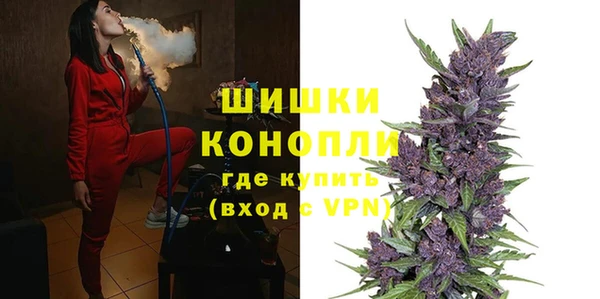 индика Абаза