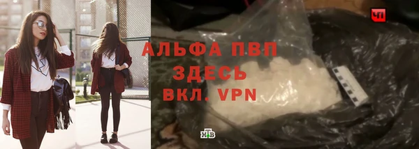 индика Абаза