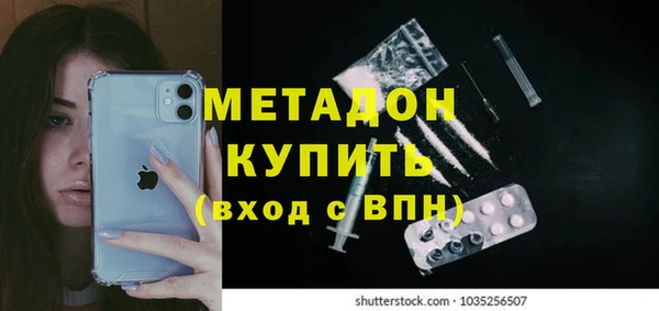 индика Абаза