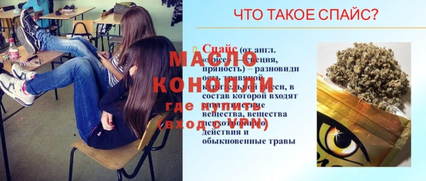 индика Абаза