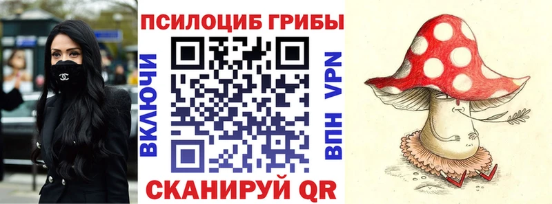Галлюциногенные грибы мицелий  мориарти официальный сайт  Новокубанск 