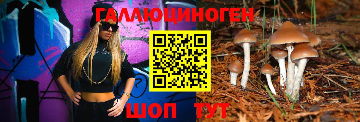 Псилоцибиновые грибы ЛСД  Галлюциногенные грибы ЛСД  Новокубанск  Вход с VPN 